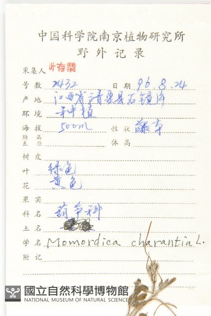 苦瓜藏品圖，第2張