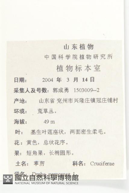 葶藶藏品圖，第2張