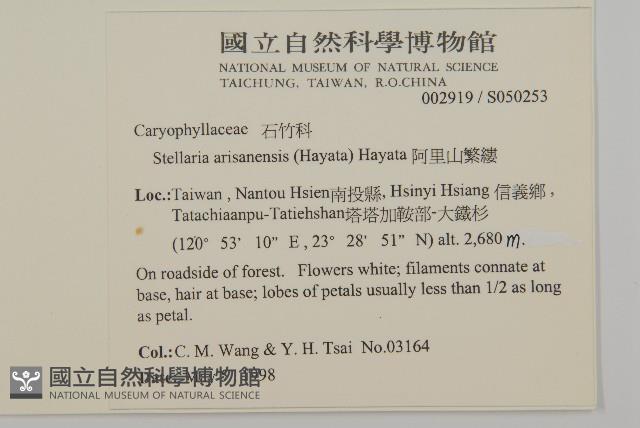 阿里山繁縷藏品圖，第2張