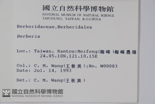 日本小檗藏品圖，第2張