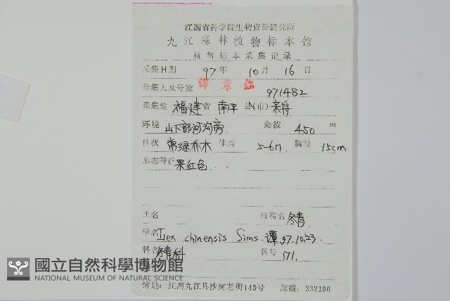 冬青藏品圖，第2張