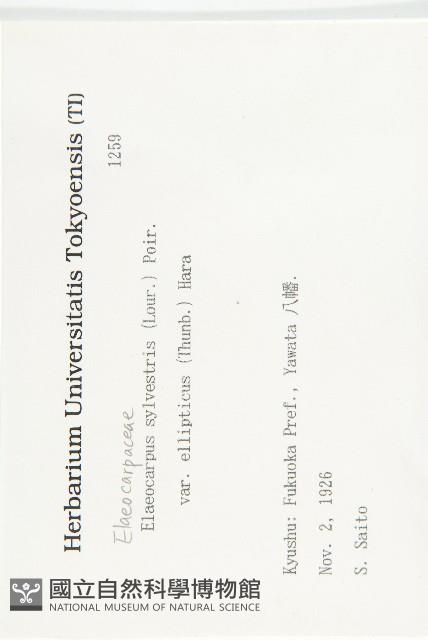 登錄號:S082153藏品圖，第2張