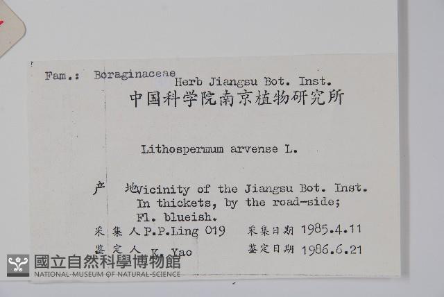 麥家公藏品圖，第2張