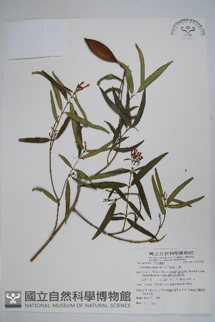 山橙藏品圖，第1張