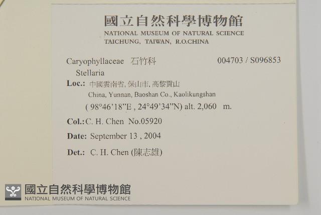 登錄號:S096853藏品圖，第2張