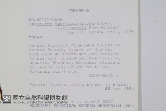 登錄號:S100853藏品圖，第2張