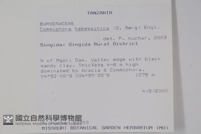 登錄號:S093853藏品圖，第2張