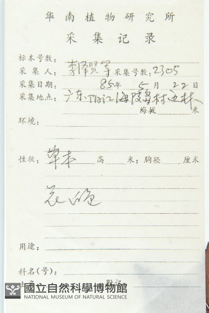 華杜英藏品圖，第2張