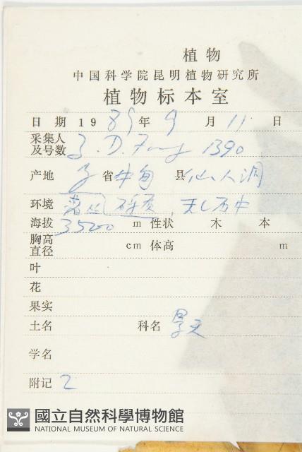 雲南紅景天藏品圖，第2張