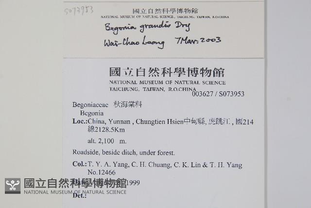 登錄號:S073953藏品圖，第2張