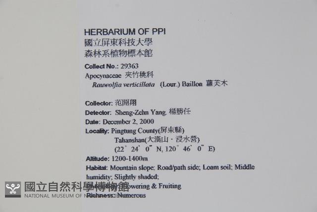 蘿芙木藏品圖，第2張