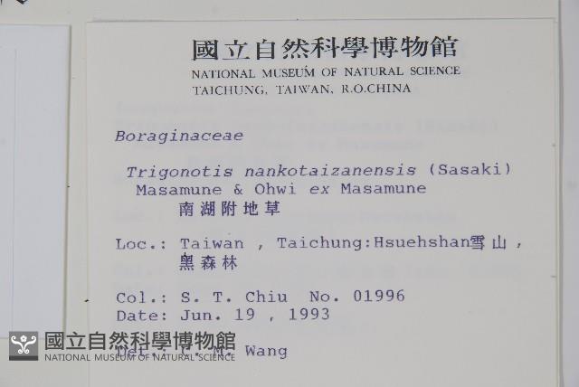 南湖附地草藏品圖，第2張