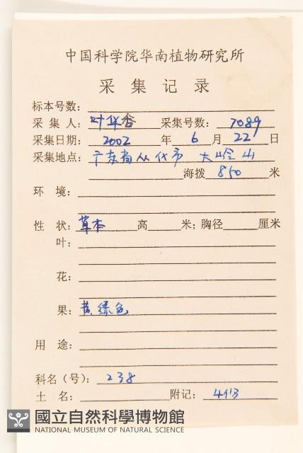 鵝不食草藏品圖，第2張