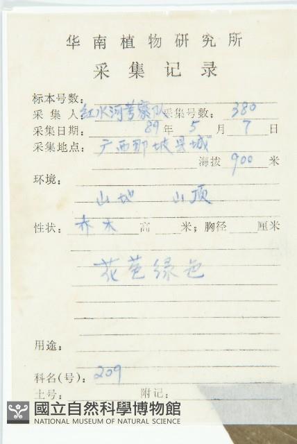 光皮樹藏品圖，第2張