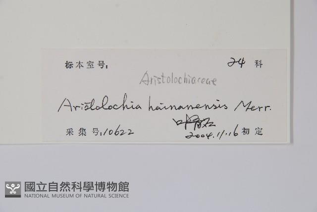 海南馬兜鈴藏品圖，第2張