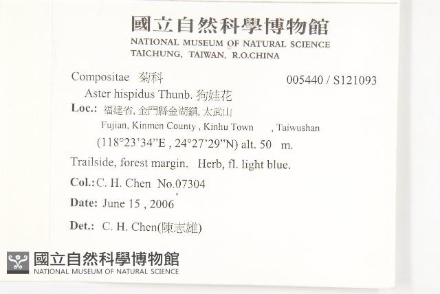 狗娃花藏品圖，第2張