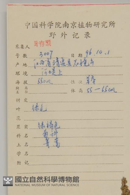 黃蒿藏品圖，第2張