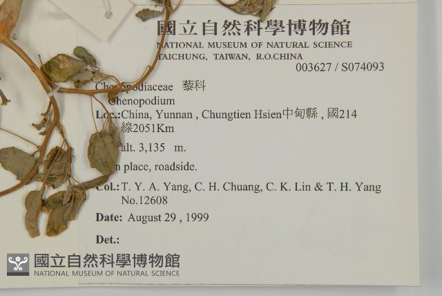 登錄號:S074093藏品圖，第2張