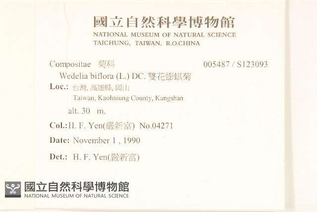 雙花蟛蜞菊藏品圖，第2張