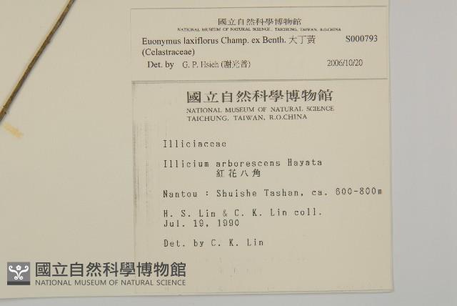 大丁黃藏品圖，第2張