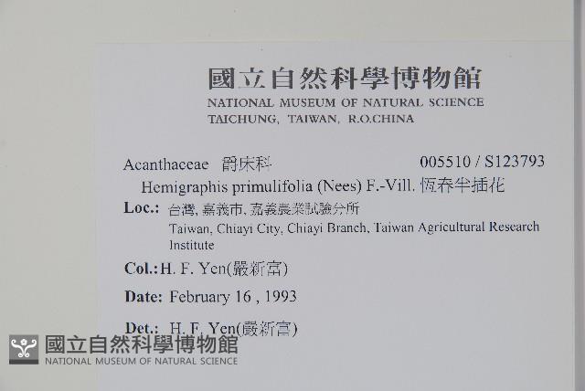 恆春半插花藏品圖，第2張