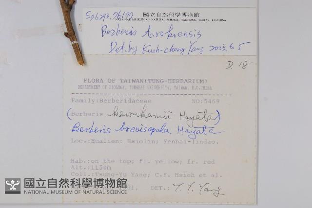 太魯閣小檗藏品圖，第2張