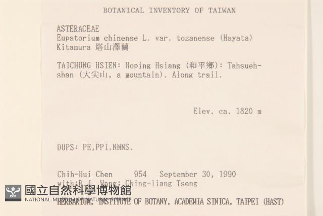 塔山澤蘭藏品圖，第2張