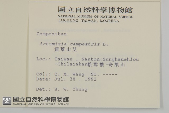 高山艾藏品圖，第2張
