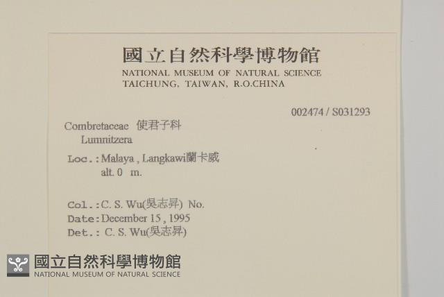 登錄號:S031293藏品圖，第2張