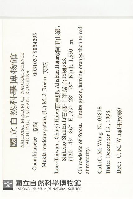 天花藏品圖，第2張