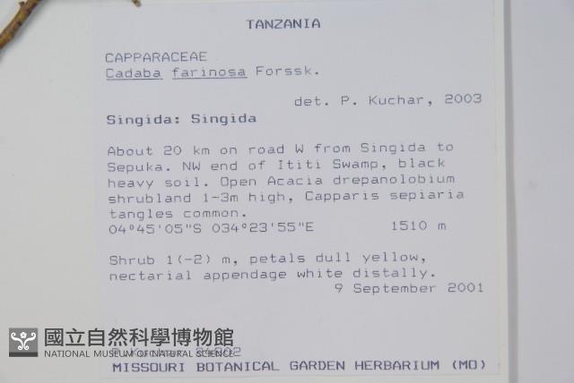 登錄號:S094293藏品圖，第2張