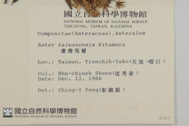 臺灣馬蘭藏品圖，第2張