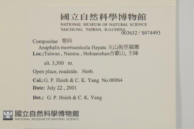 玉山抱莖籟簫藏品圖，第2張