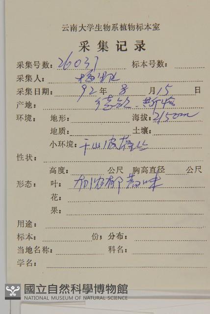 大耔蒿藏品圖，第2張