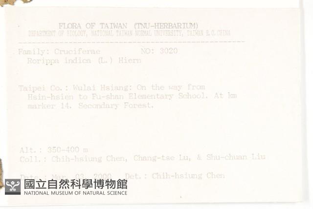 葶藶藏品圖，第2張