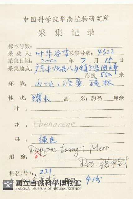 延平柿藏品圖，第2張