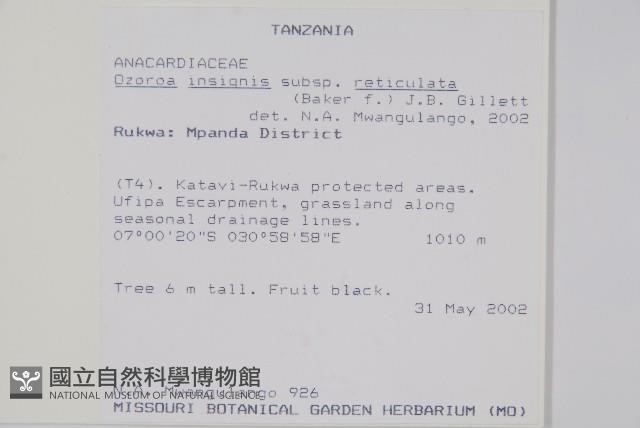 登錄號:S096393藏品圖，第2張