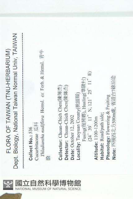 青牛膽藏品圖，第2張