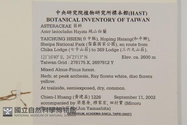 絨山白蘭藏品圖，第2張