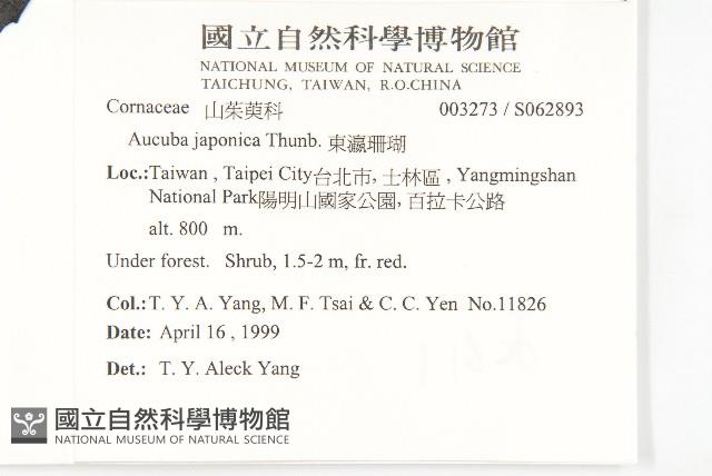 東瀛珊瑚藏品圖，第2張