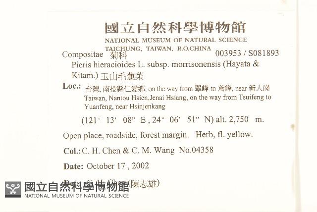 玉山毛蓮菜藏品圖，第2張