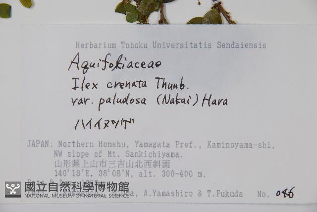 登錄號:S074893藏品圖，第2張