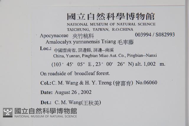 毛車藤藏品圖，第2張