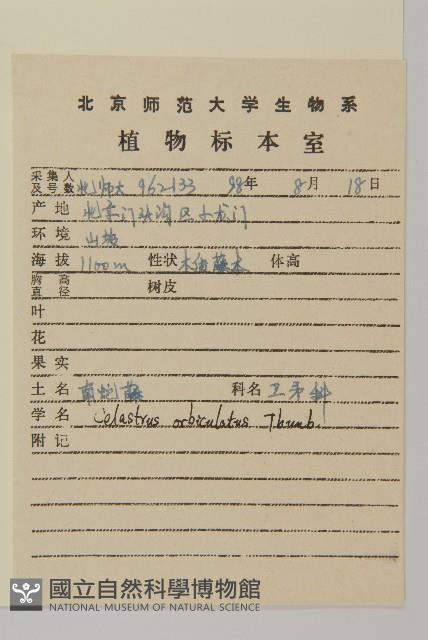 南蛇藤藏品圖，第2張