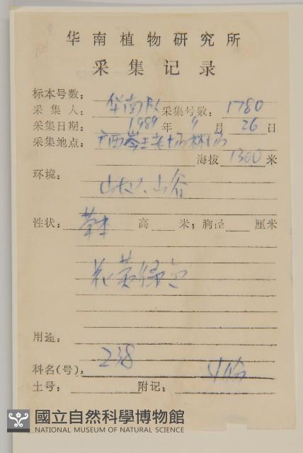 天名精藏品圖，第2張