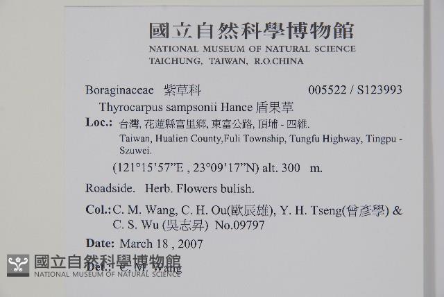 盾果草藏品圖，第2張