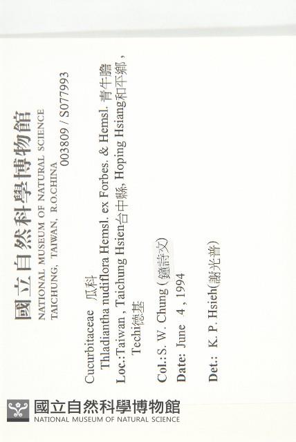 青牛膽藏品圖，第2張