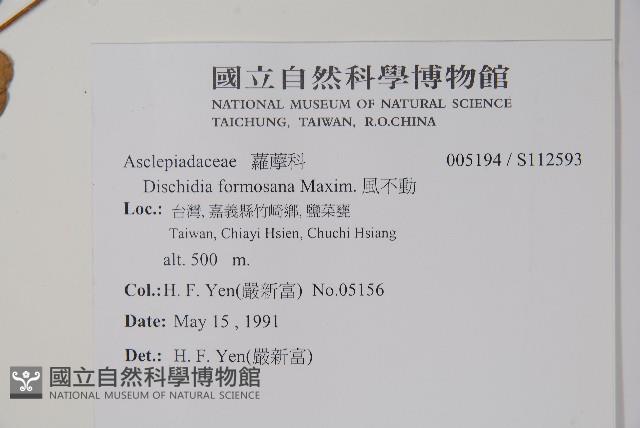 風不動藏品圖，第2張