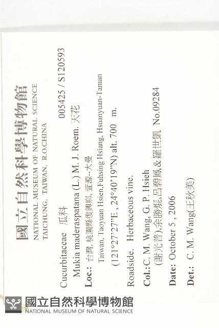 天花藏品圖，第2張