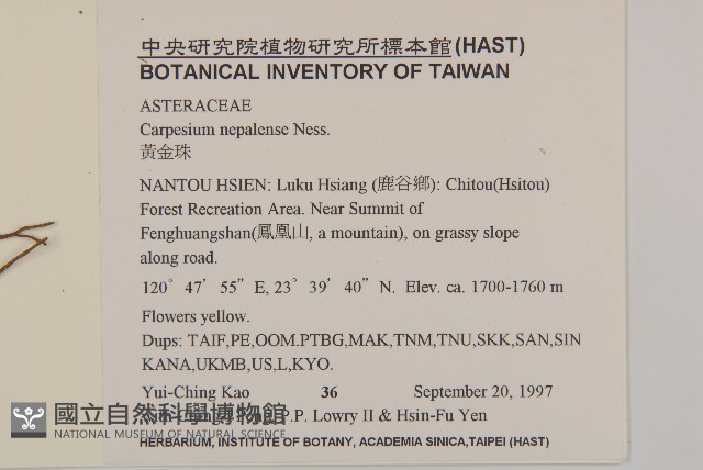 黃金珠藏品圖，第2張